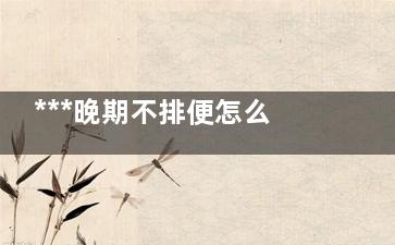 ***晚期不排便怎么办(***晚期不排便不排尿还能多久时间)