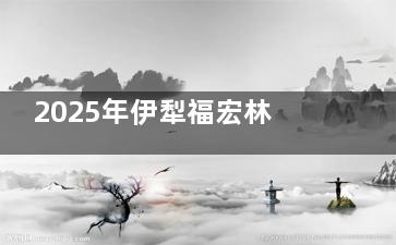 2025年伊犁福宏林口腔医院价格表来啦！种植牙/牙齿矫正/补牙/洁牙/根管治疗收费一览
