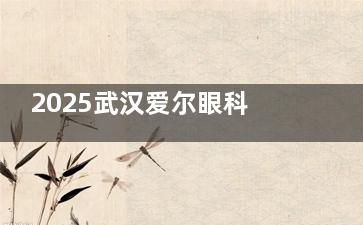2025武汉爱尔眼科医院收费价目表：半飞秒1.2w+/全飞秒1.7w+/晶体植入2.8w+