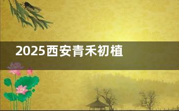 2025西安青禾初植发医院收费价格更新成功~发际线1.5w+美人尖1.8w+头顶加密1.03w+