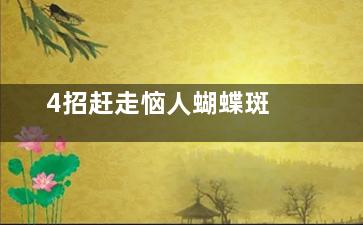 4招赶走恼人蝴蝶斑