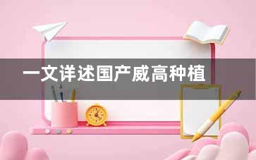 一文详述国产威高种植牙的优缺点，适应广/材质好/但使用年限有限，价格在3000元起