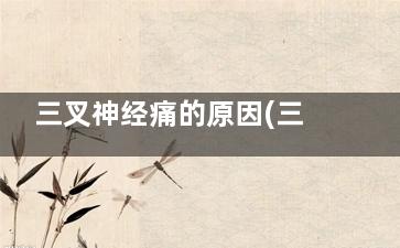 三叉神经痛的原因(三叉神经痛原发性和继发性区别)