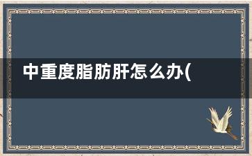 中重度脂肪肝怎么办(中重度脂肪肝怎样治疗)