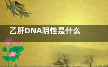 乙肝DNA阴性是什么意思(什么是乙肝病毒dna阴性)