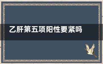 乙肝第五项阳性要紧吗(乙肝第五项阳性是什么)
