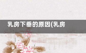 乳房下垂的原因(乳房下垂原因百度)