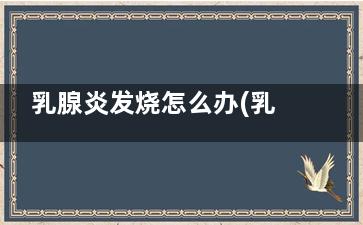 乳腺炎发烧怎么办(乳腺炎发烧怎么处理)