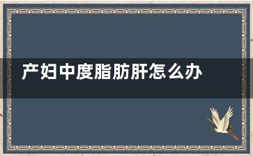产妇中度脂肪肝怎么办(产妇中度脂肪肝能喂奶吗)
