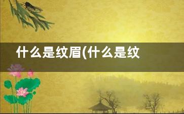 什么是纹眉(什么是纹眉什么是雾眉)