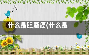 什么是胆囊癌(什么是胆囊癌***术)
