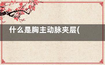 什么是胸主动脉夹层(什么是胸主动脉硬化)