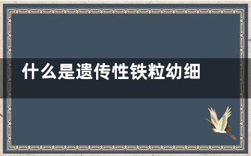 什么是遗传性铁粒幼细胞性贫血(什么是遗传性铁锈病)