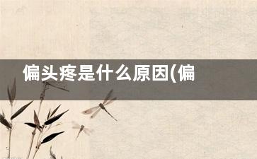 偏头疼是什么原因(偏头疼是什么原因一阵一阵的)