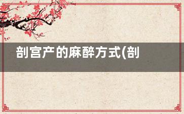 剖宫产的麻醉方式(剖宫产麻醉方式以什么麻醉为主)