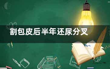 割包皮后半年还尿分叉怎么回事(割包皮半年还是不舒服)