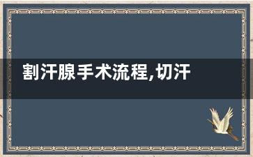 割汗腺手术流程,切汗腺手术多少钱