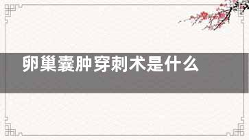 卵巢囊肿穿刺术是什么,卵巢囊肿穿刺术是几级手术