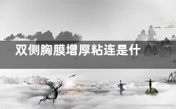 双侧胸膜增厚粘连是什么意思(双侧胸膜增厚粘连)