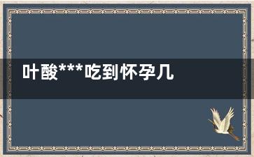 叶酸***吃到怀孕几个月(那款叶酸怀孕吃的好处)