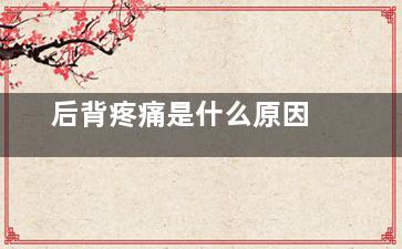 后背疼痛是什么原因