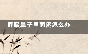 呼吸鼻子里面疼怎么办(呼吸鼻子里面疼辣怎么办)