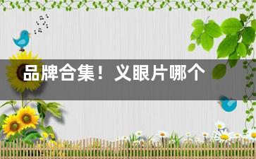 品牌合集！义眼片哪个牌子好？多家眼科机构提供定制义眼，劳莎(Lauscha)/美眼(MAYO)品牌有名！