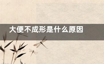 大便不成形是什么原因造成的(大便不成形是什么意思)