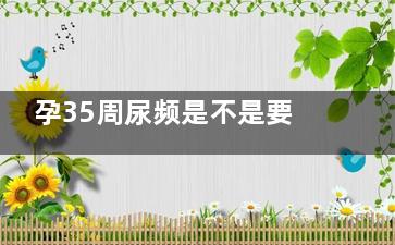孕35周尿频是不是要生了(怀孕35周尿频但是量很少)