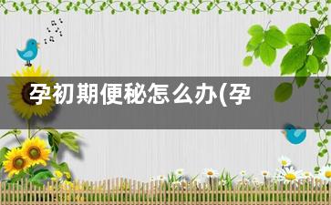 孕初期便秘怎么办(孕期初期便秘怎么办啊)