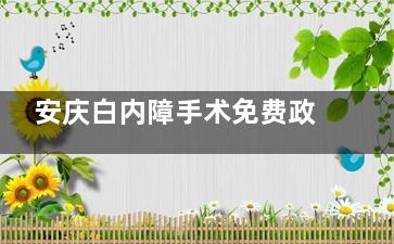 安庆白内障手术免费政策有哪些？政策主要开放给经济能力不行病情比较重的老人！