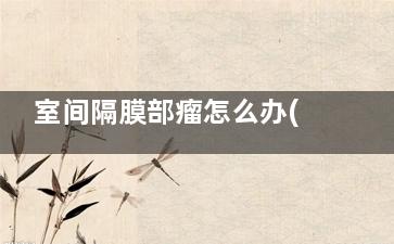 室间隔膜部瘤怎么办(室间隔膜部瘤怎么裂的)
