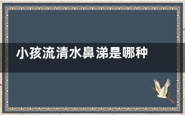 小孩流清水鼻涕是哪种感冒(小孩流清水鼻涕什么原因)