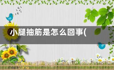 小腿抽筋是怎么回事(小腿抽筋是怎么一回事)