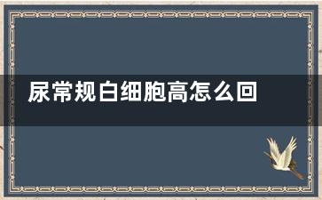 尿常规白细胞高怎么回事(尿常规白细胞高严重吗)