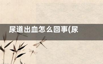 尿道出血怎么回事(尿道出血该怎么办)