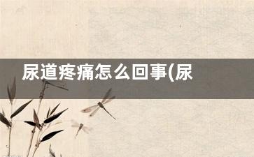 尿道疼痛怎么回事(尿道疼怎么了)