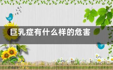 巨乳症有什么样的危害？(巨乳症的原因及主要症状)