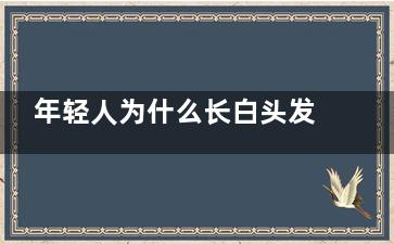 年轻人为什么长白头发(年轻人长白头发怎么办？)