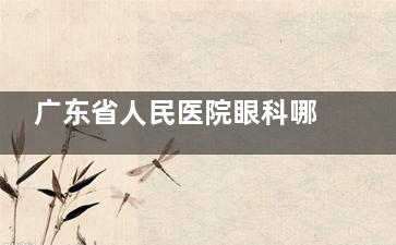 广东省人民医院眼科哪个医生好？杨小红、曾锦等经验丰富，擅长各类眼科疾病治疗
