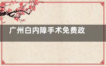 广州白内障手术免费政策25年新版解答！老人不用害怕花钱掏不起了!附怎么申请教程