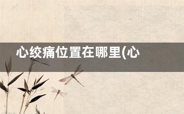 心绞痛位置在哪里(心绞痛的位置在哪个地方)