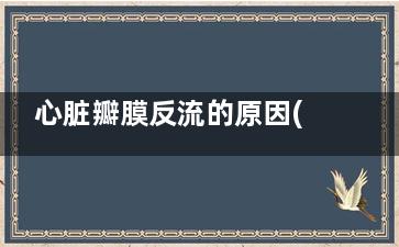 心脏瓣膜反流的原因(心脏瓣膜反流的超声诊断华医网答案)