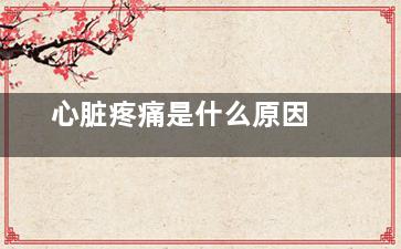 心脏疼痛是什么原因
