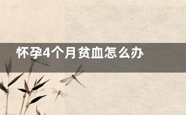 怀孕4个月贫血怎么办,怀孕4个月贫血怎么办啊