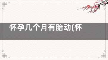 怀孕几个月有胎动(怀孕几个月有胎心跳动)
