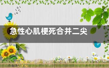 急性心肌梗死合并二尖瓣关闭不全怎么办(急性,心肌梗死)