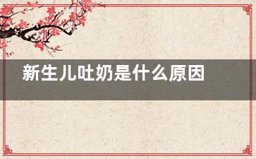新生儿吐奶是什么原因,新生儿睡觉吐奶是什么原因