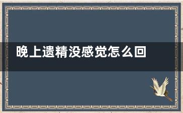 晚上遗精没感觉怎么回事(晚上没有感觉的遗精怎么回事)
