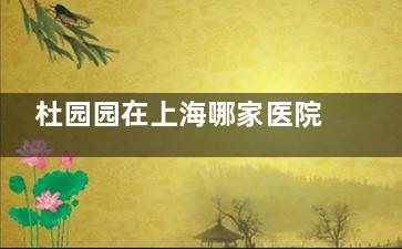 杜园园在上海哪家医院？上海爱尚丽格杜园园医生眼部整形有名的医生/附预约信息公布！